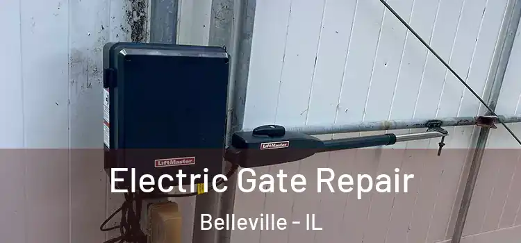  Electric Gate Repair Belleville - IL