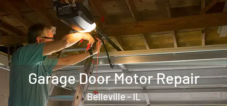  Garage Door Motor Repair Belleville - IL