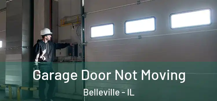  Garage Door Not Moving Belleville - IL