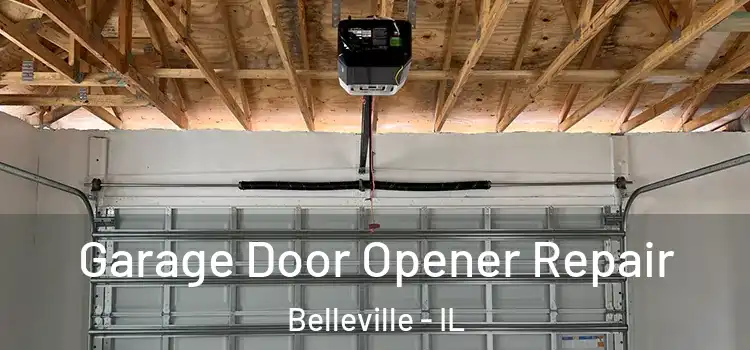  Garage Door Opener Repair Belleville - IL