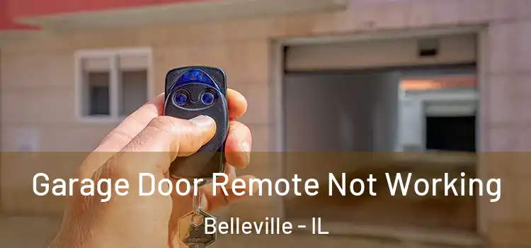  Garage Door Remote Not Working Belleville - IL
