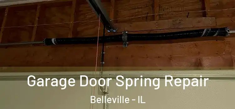  Garage Door Spring Repair Belleville - IL
