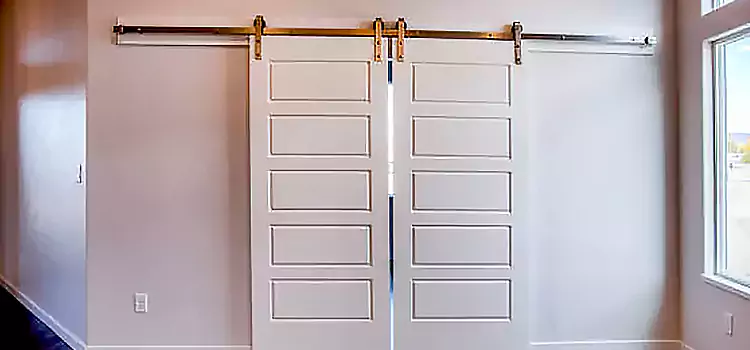 Glass Barn Door with Installation Hardware Kit Belleville