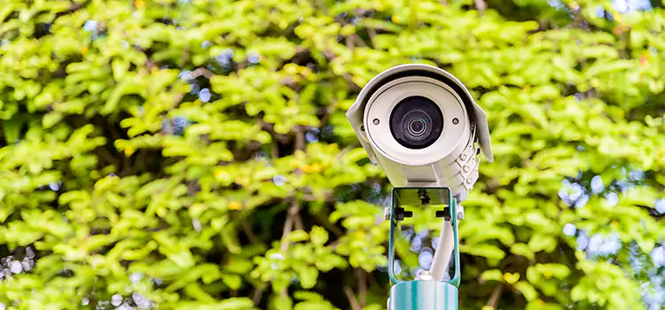 Advanced Surveillance Solutions for Every Need in Belleville