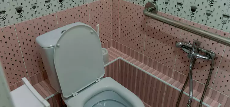 Meeting Diverse Needs With Accessible Restroom Solutions in Belleville, IL
