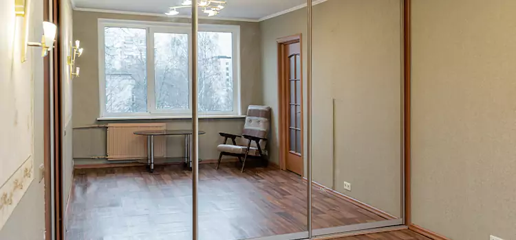 Mirror Closet Door Roller Replacement Belleville