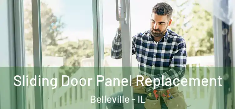  Sliding Door Panel Replacement Belleville - IL