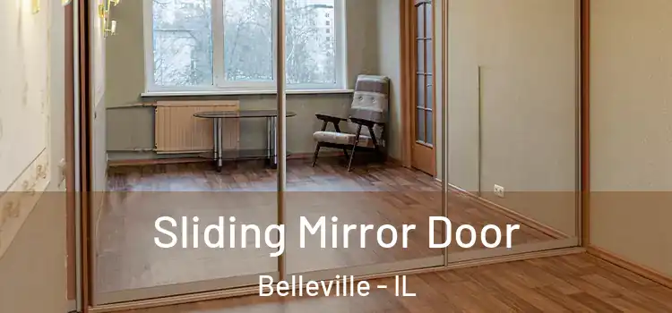  Sliding Mirror Door Belleville - IL